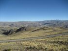 IMG_2298.JPG