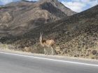 IMG_5824001.jpg