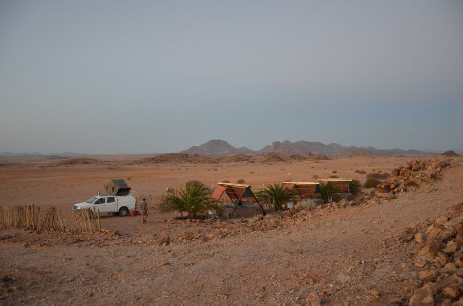 DSC_78421.jpg