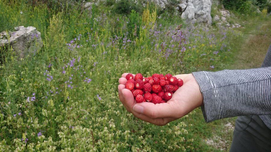 BALKAN_00291.jpg