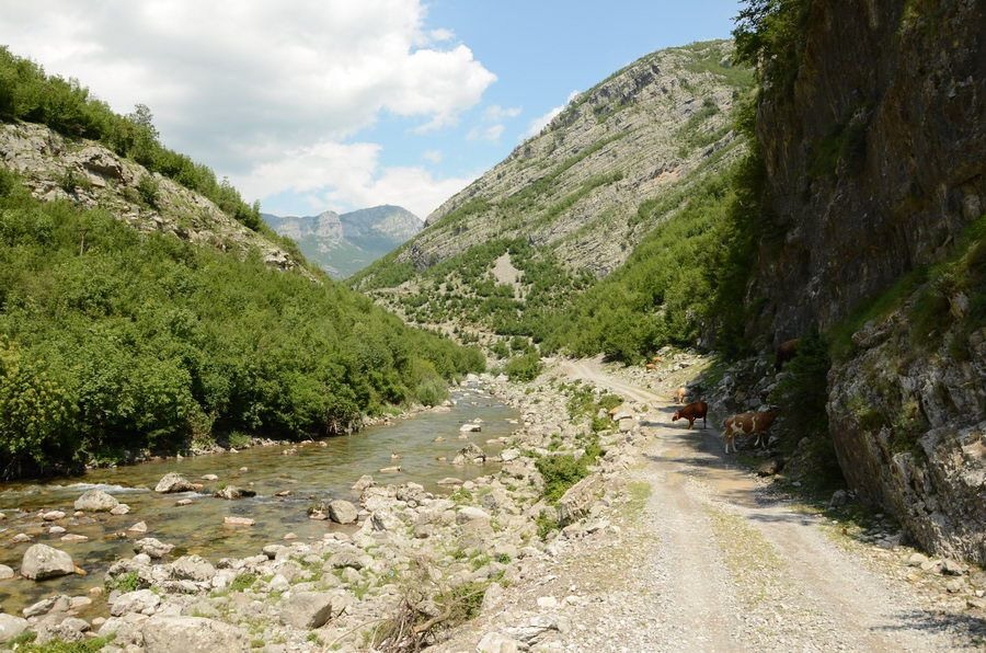 BALKAN_00401.jpg
