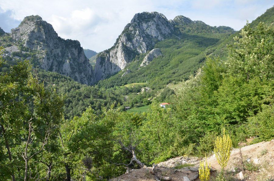 BALKAN_01011.jpg