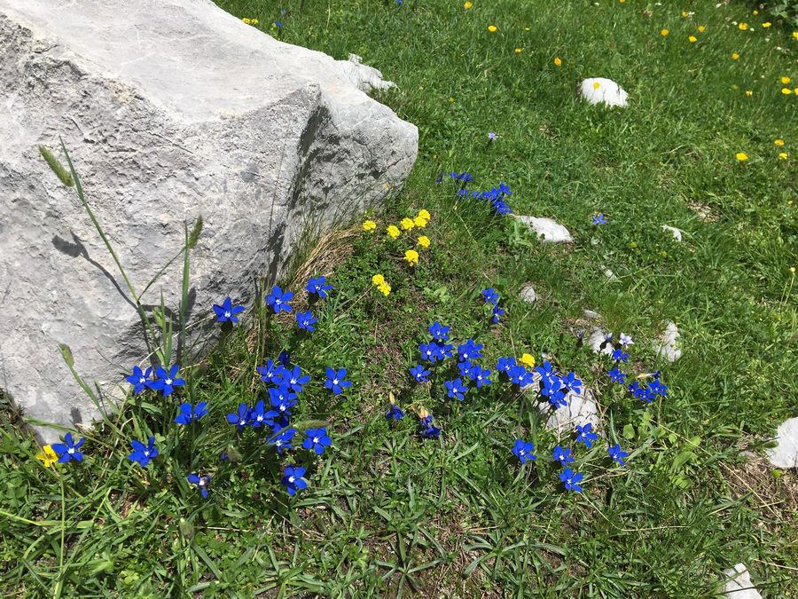 BALKAN_04141.jpg