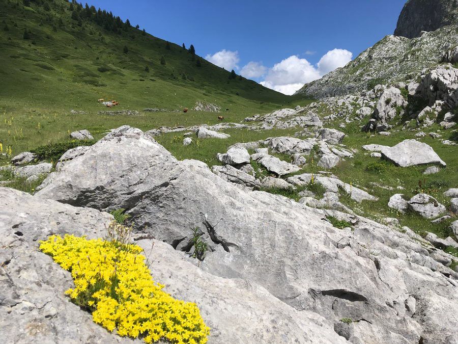BALKAN_04241.jpg