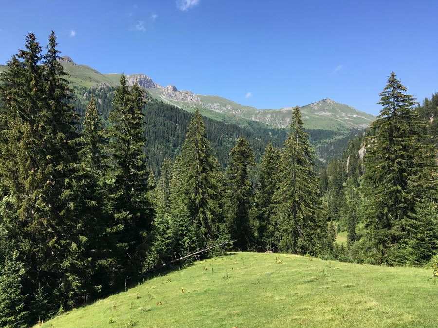 BALKAN_04821.jpg
