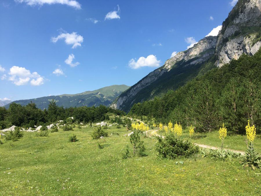 BALKAN_05351.jpg