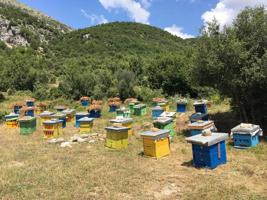 BALKAN_07101.jpg