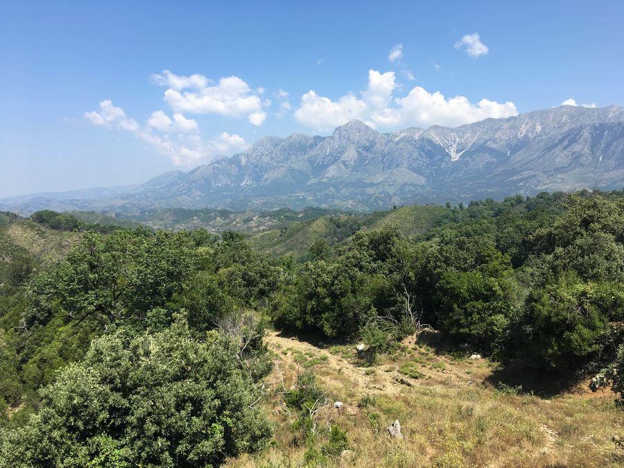 BALKAN_07321.jpg
