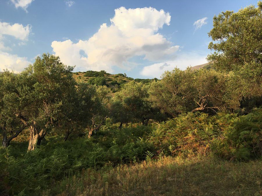 BALKAN_07581.jpg