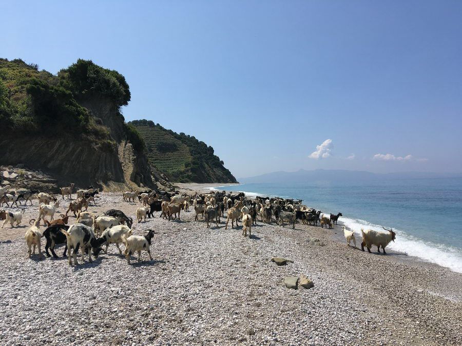 BALKAN_07681.jpg