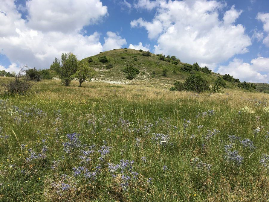 BALKAN_09221.jpg