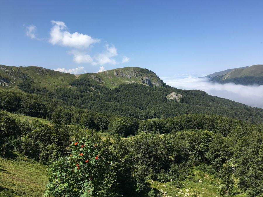 BALKAN_11701.jpg