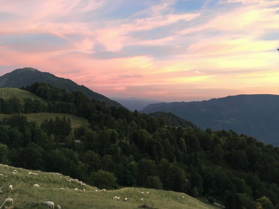 BALKAN_13081.jpg