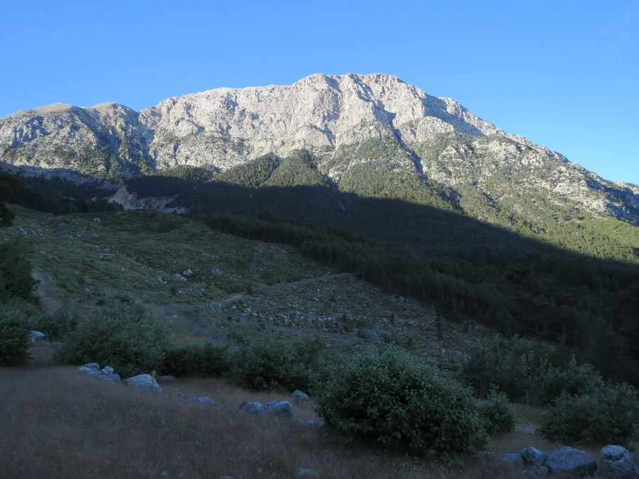 IMG_29241.jpg