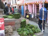 Nepal11_01181.jpg