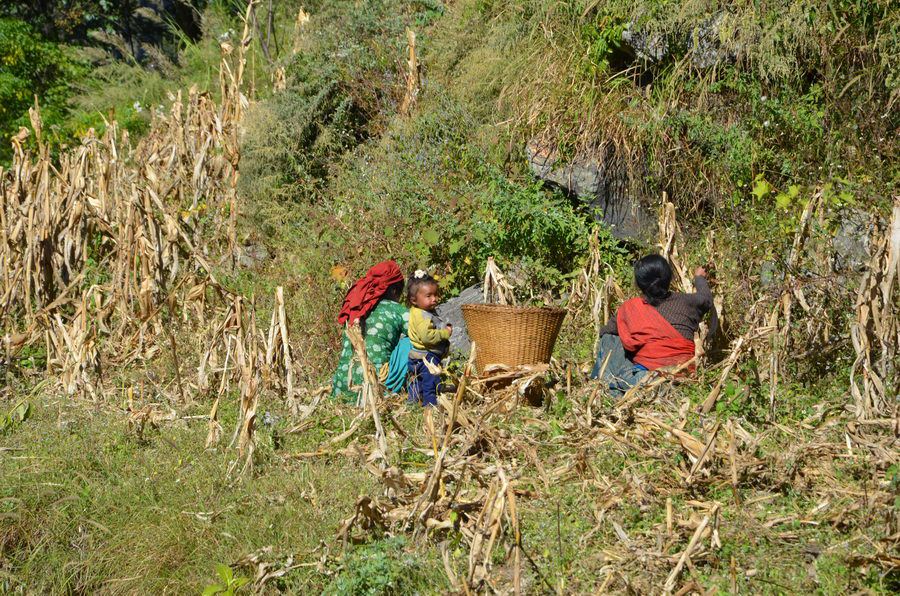 Manaslu_00441.jpg