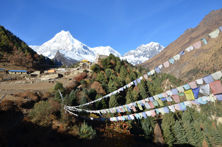 Der Manaslu von Lho aus