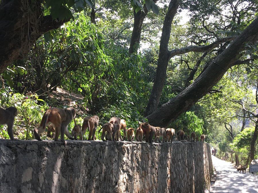 NEPAL_00101.jpg