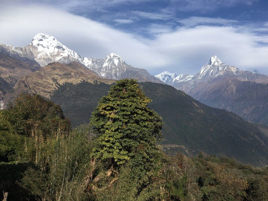 NEPAL_01711.jpg