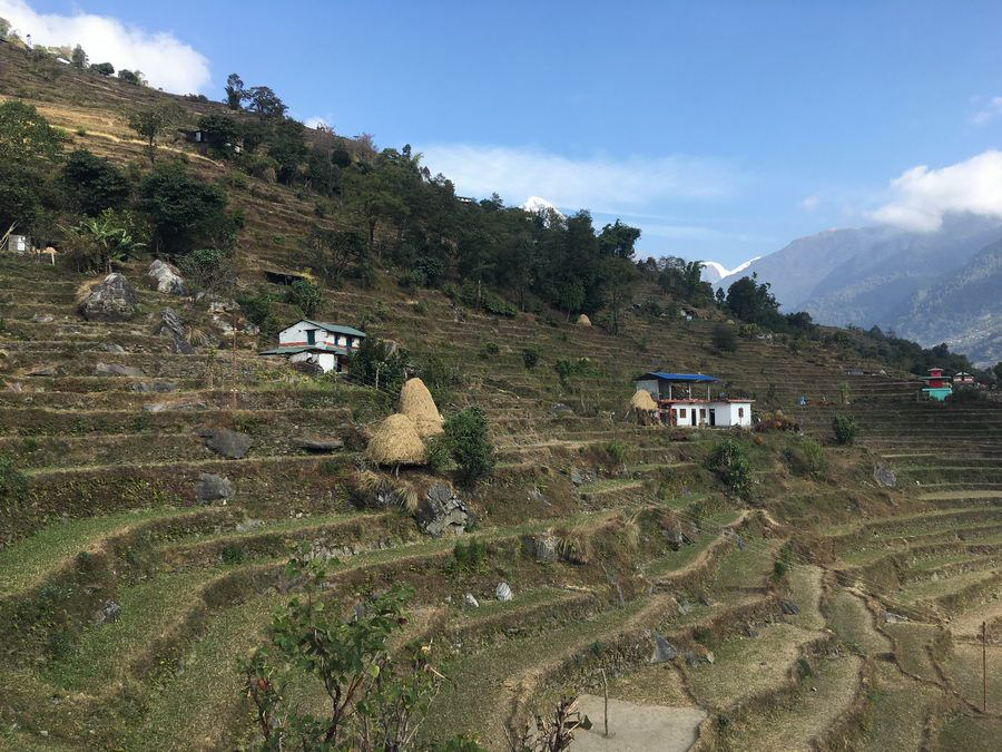 NEPAL_01771.jpg