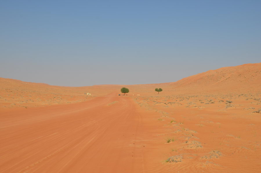 In der Wahiba