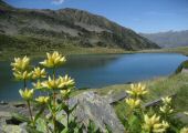 Estany de l'Estanyo