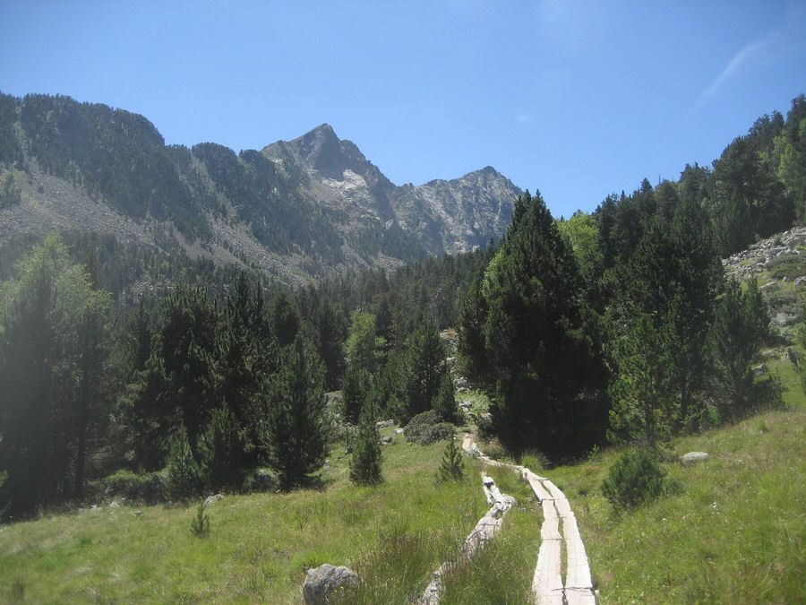 IMG_90851.jpg