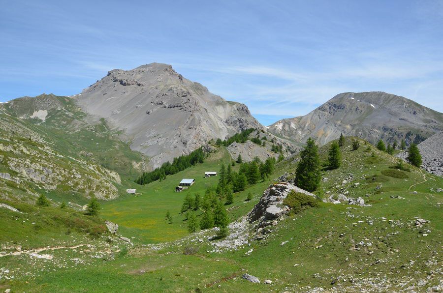 seealpen_591.jpg