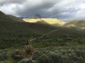Swartberge