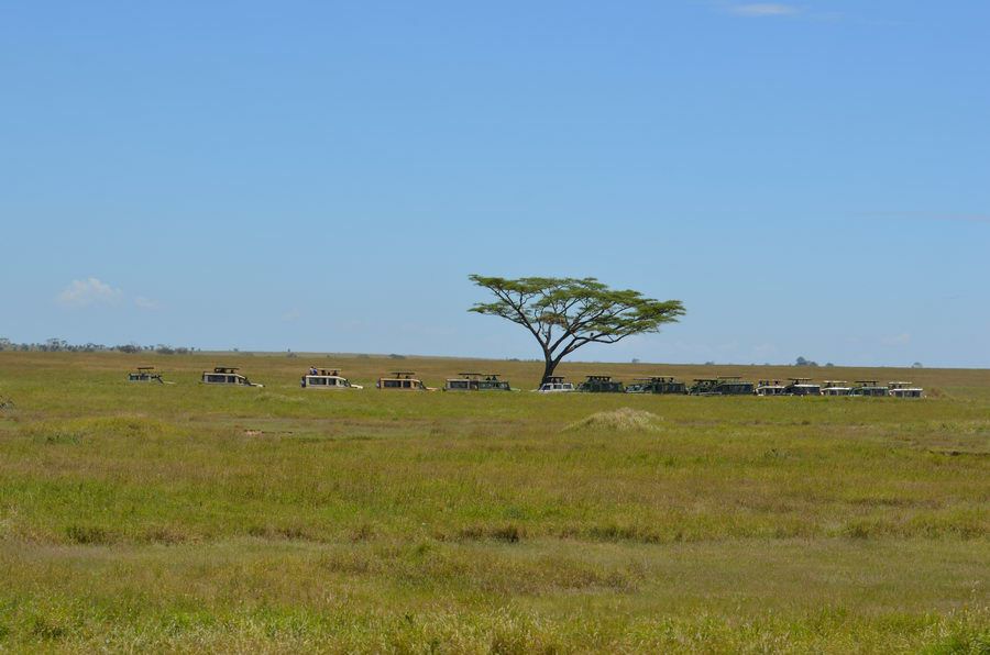 Tansania_1591.jpg