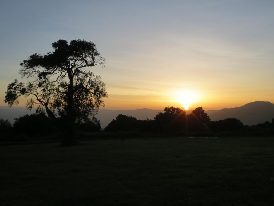 Auf Safari - Ngorongoro-Krater