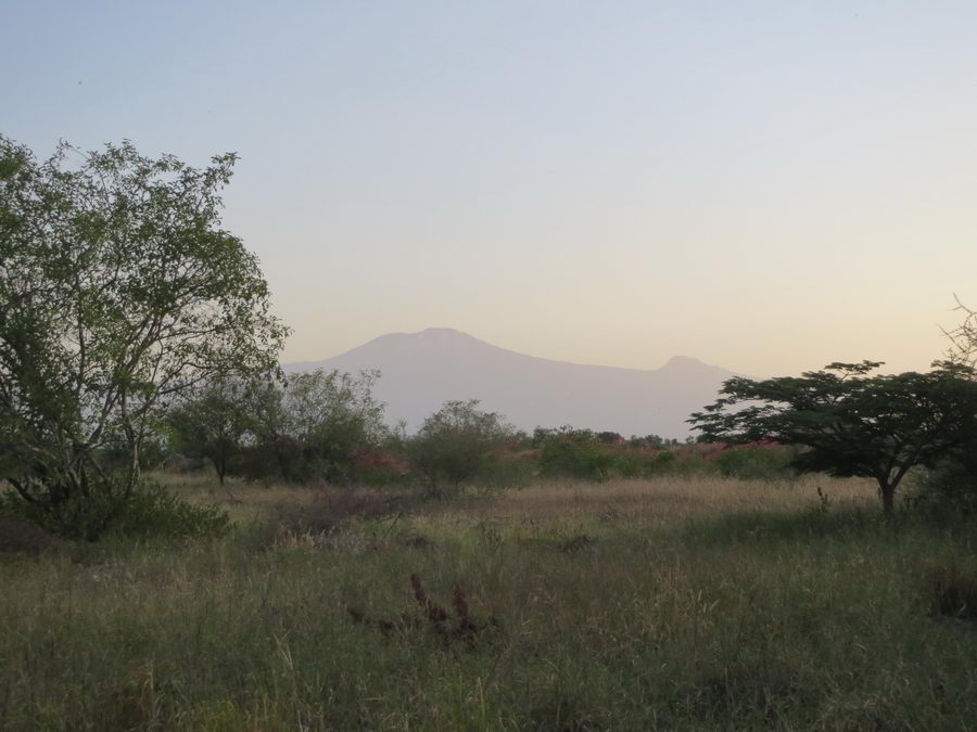 Zum letzten Mal .. der Kilimanjaro